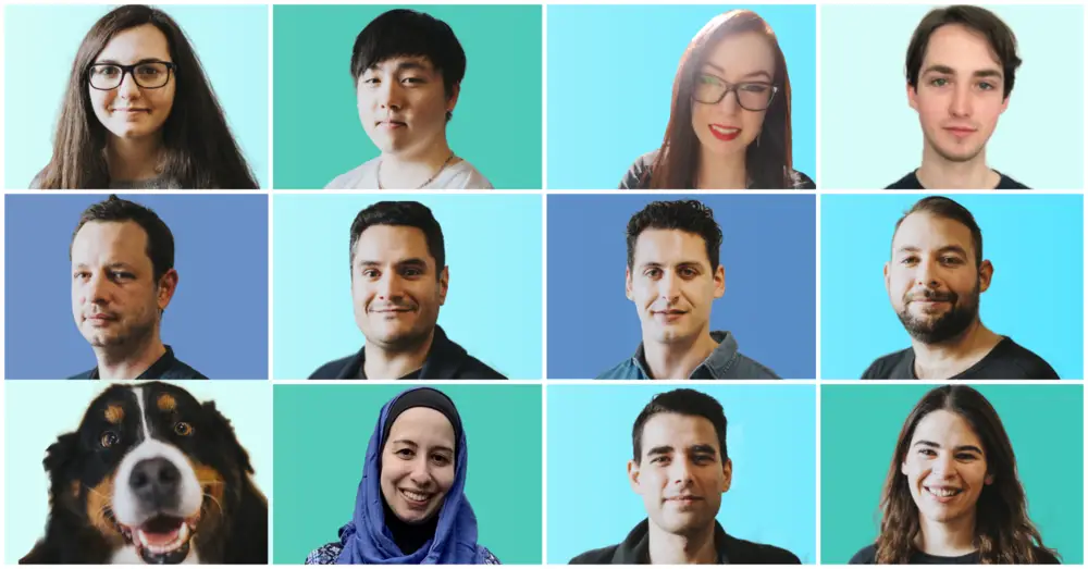 Canadian WordPress Agency Team Members